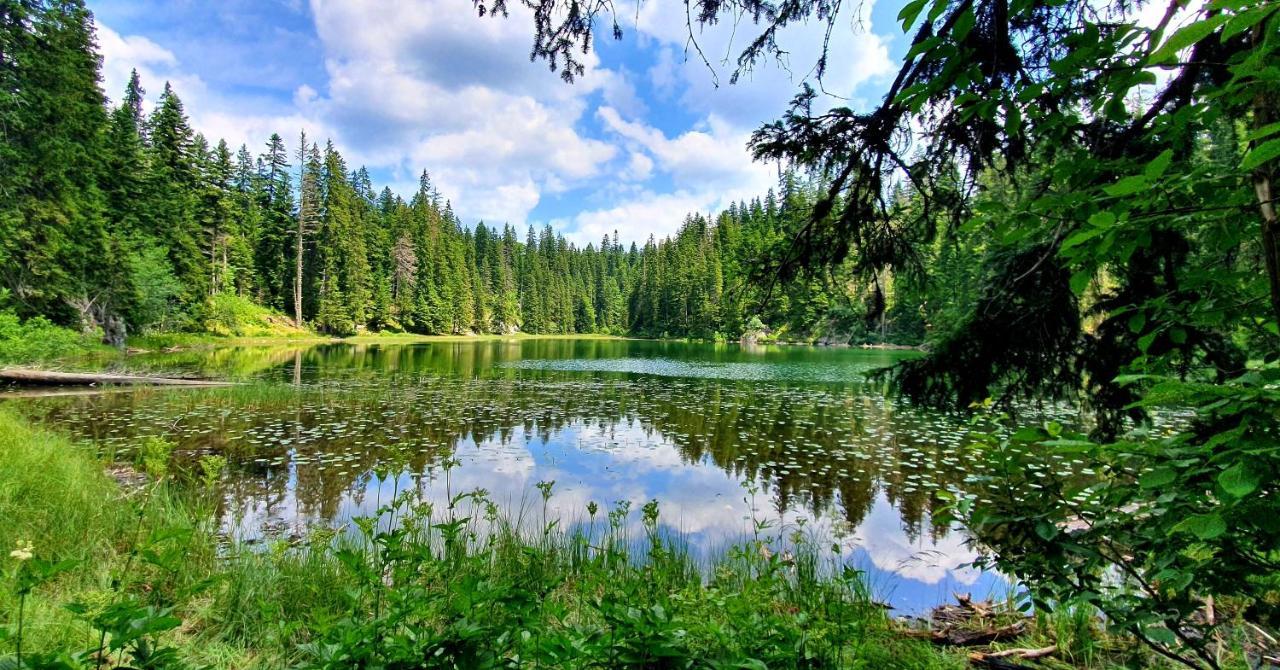 Hedonist Village Zabljak  Luaran gambar