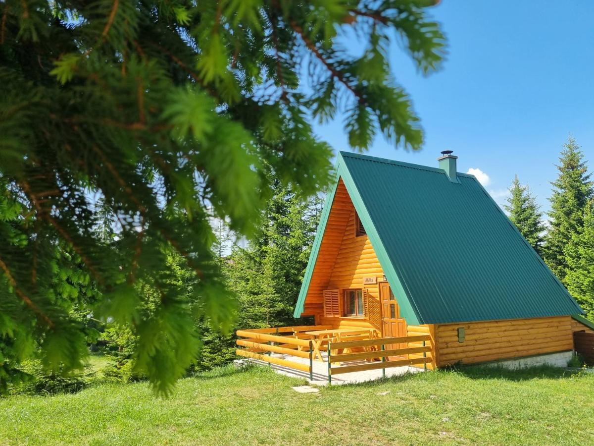 Hedonist Village Zabljak  Luaran gambar